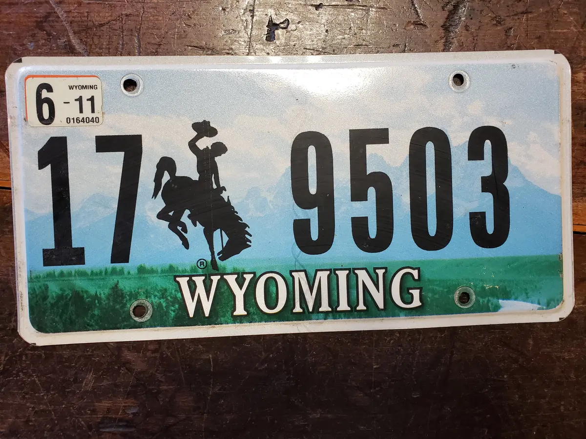 2011 Wyoming  License Plate 17 9503 1