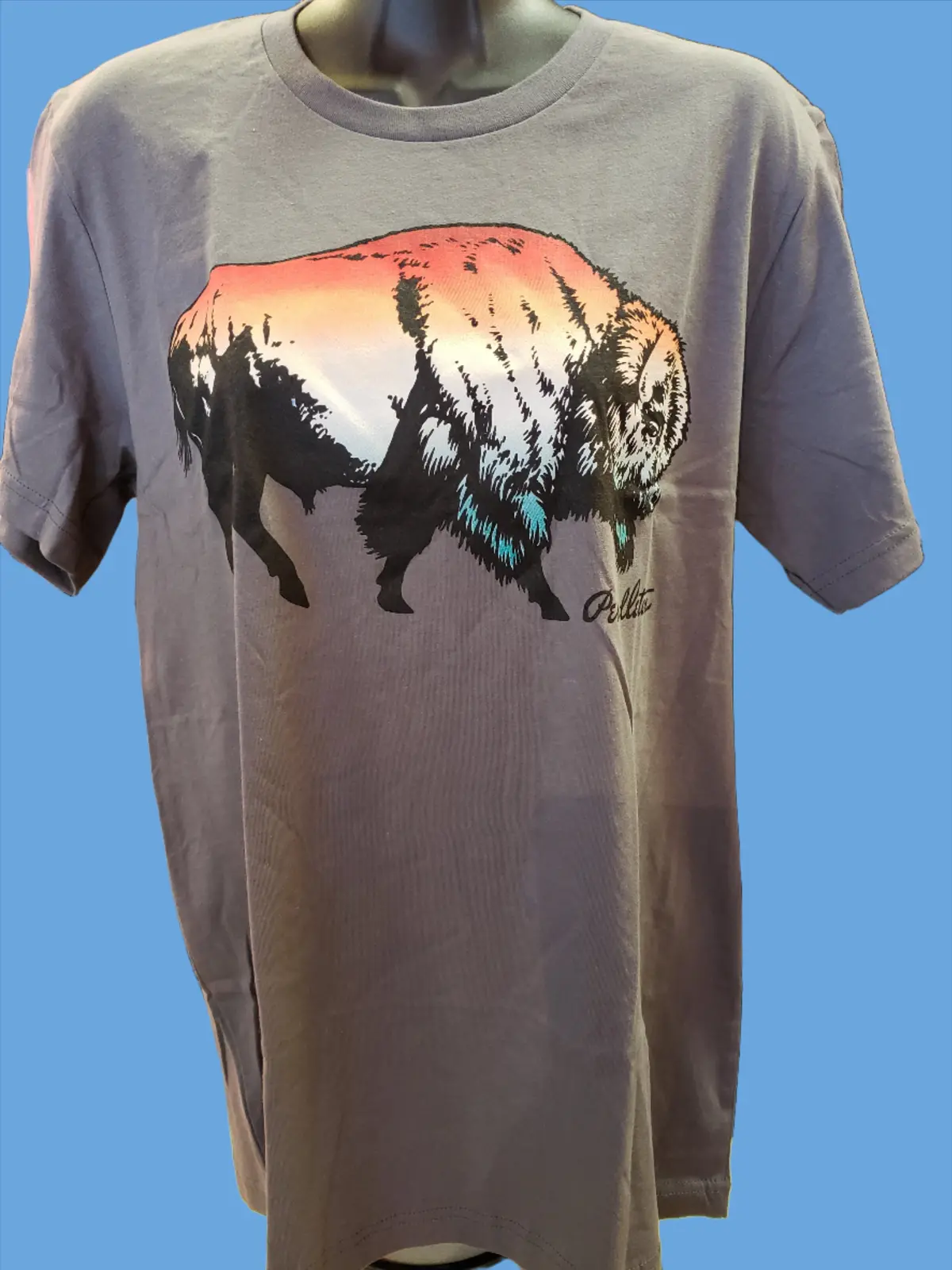 Pendleton Ombre Bison Graphic Tee 1