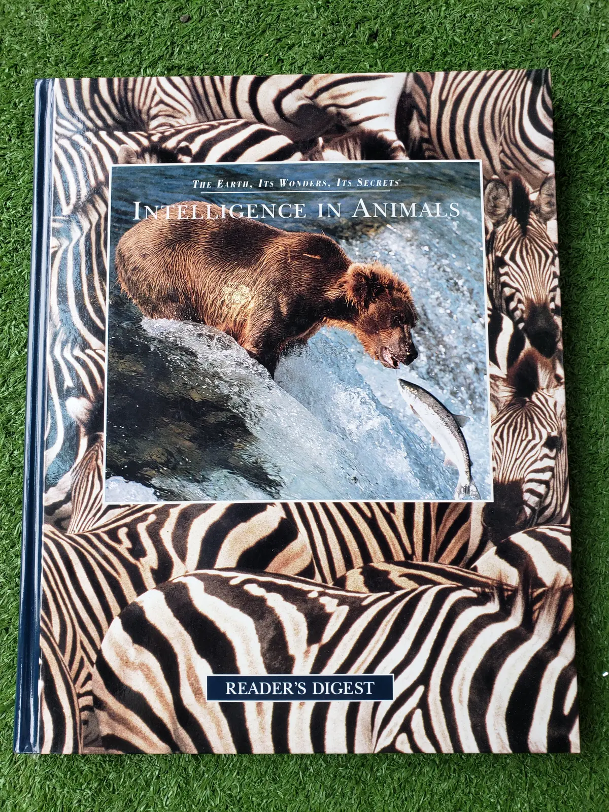 Intelligence In Animals 1
