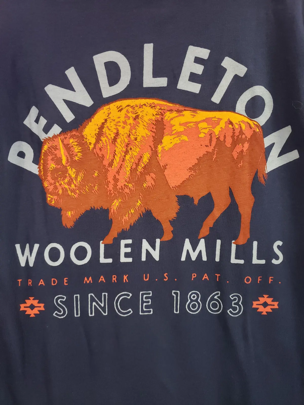 Pendleton Bison Graphic Tee In Navy/ Multi 1