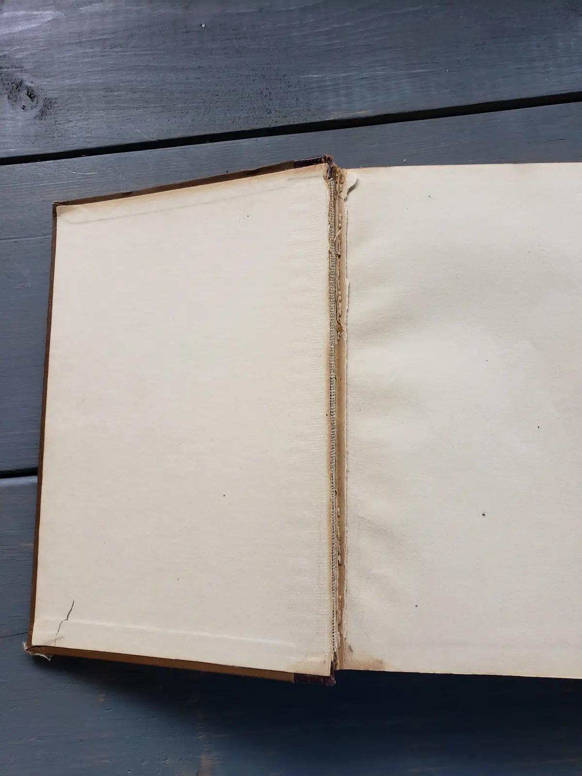 Outlines Of Literature (English And American) (1897) 2