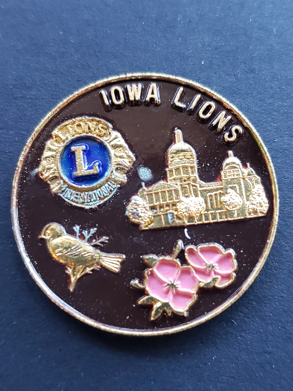 Iowa Lions Vintage Lapel Pin 1