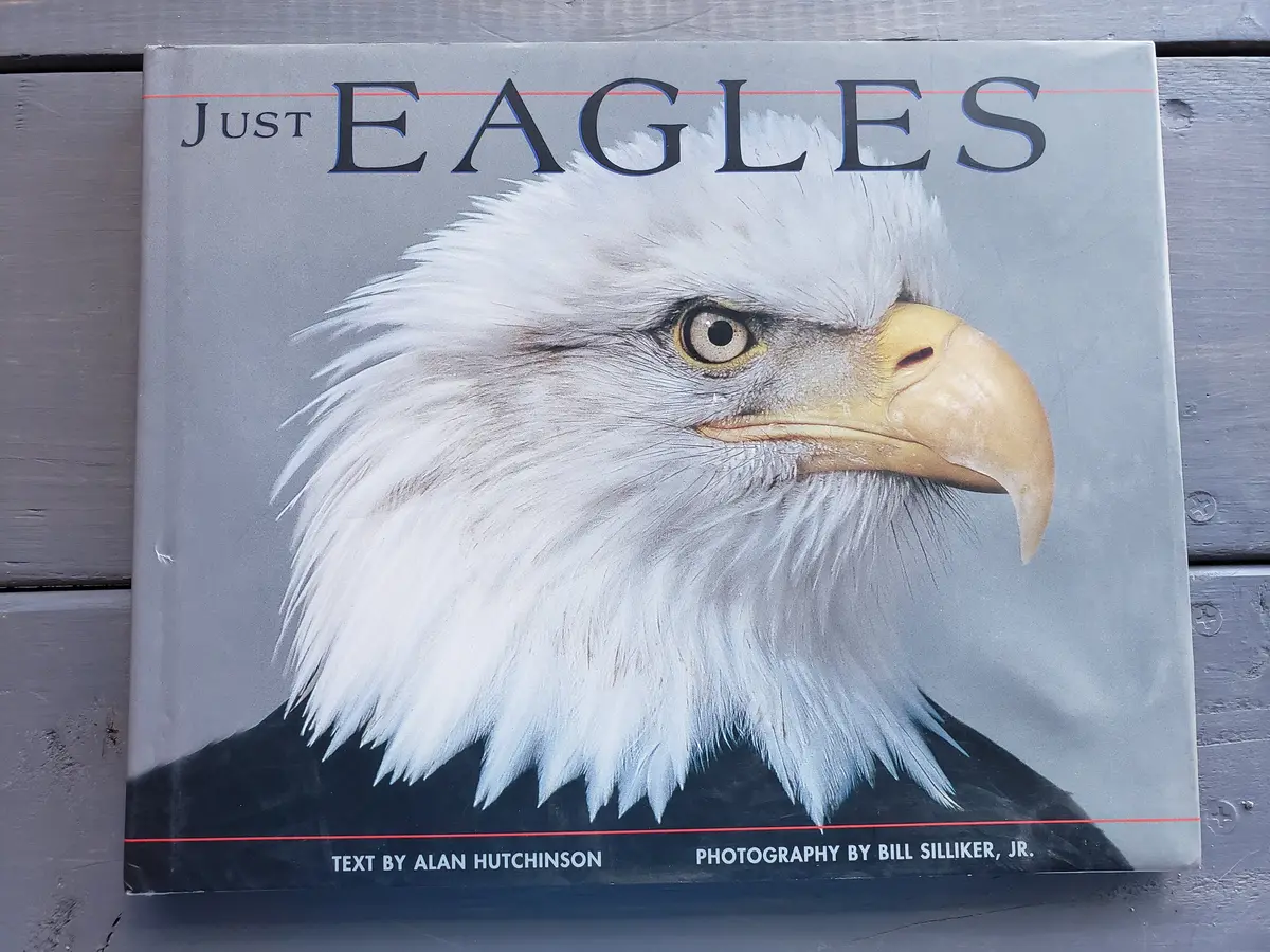 Just Eagles By Alan Hutchinson 1