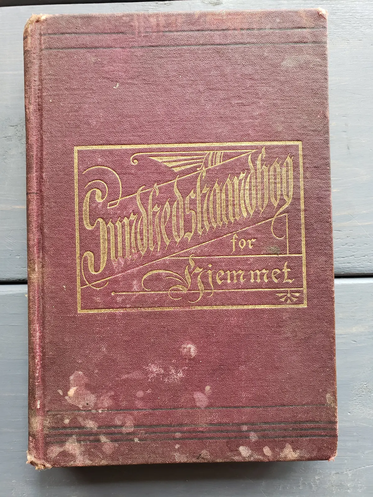 Sundhedshaandbog (1888) Health Handbook For Home 1