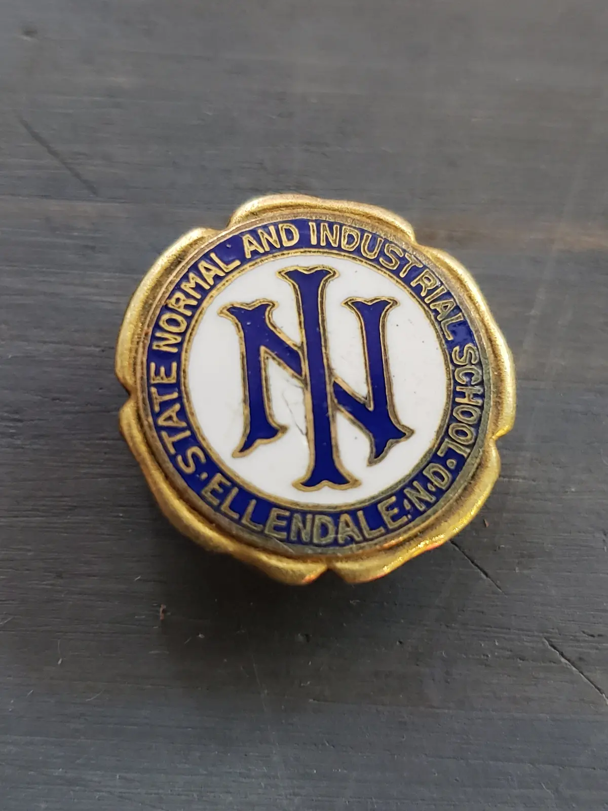 Ellendale North Dakota State Normal And Industrial School Pin 1