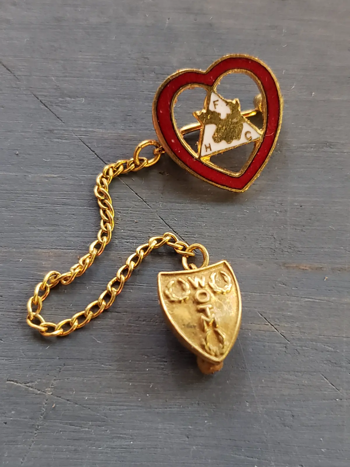 Fraternal Women Of The Moose Lodge Pin Set 1