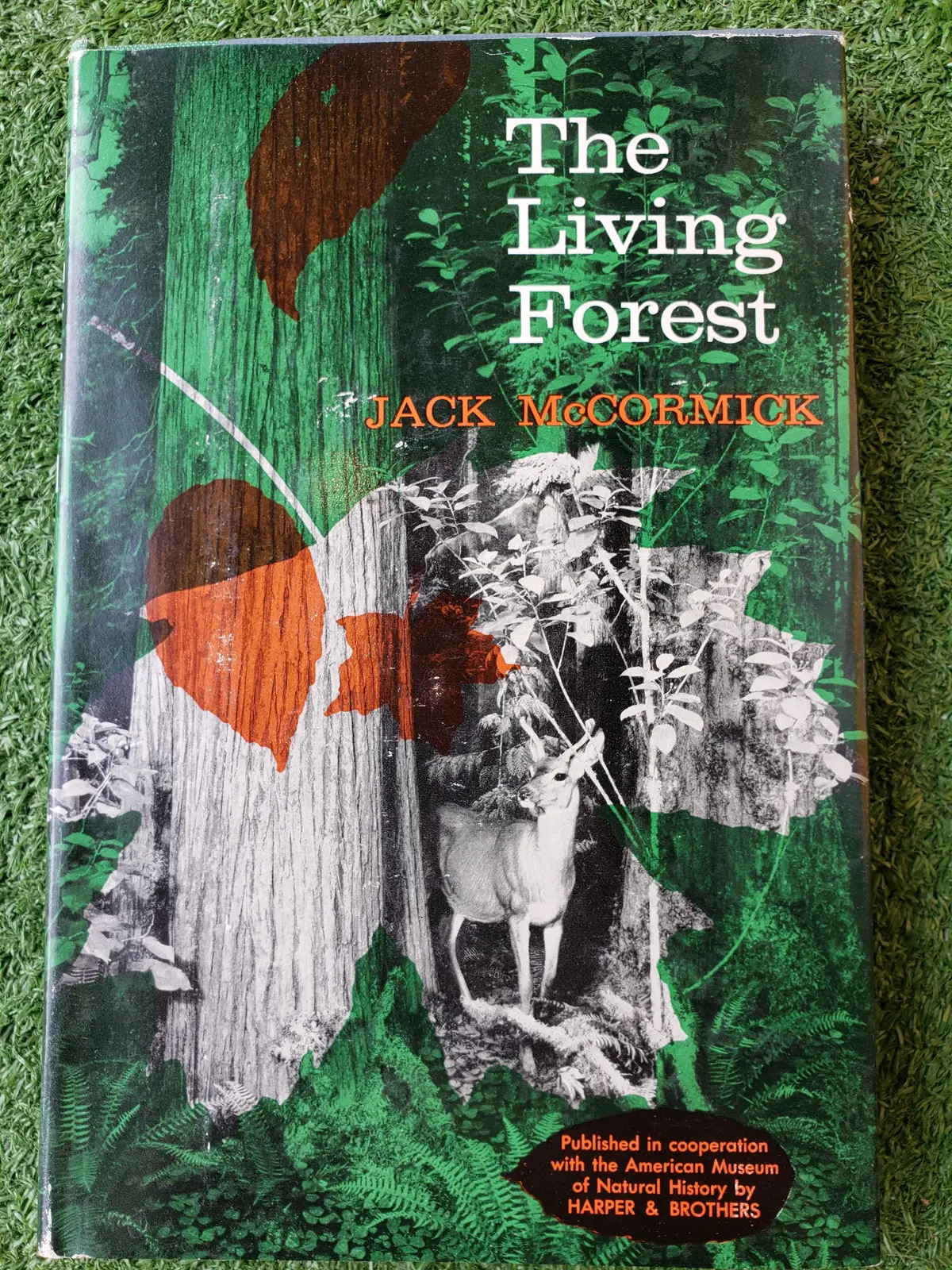 The Living Forest By Jack Mccormick (1959) 1