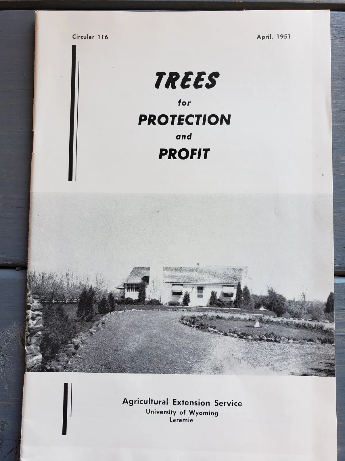 Trees For Protection And Profit (1951) 1