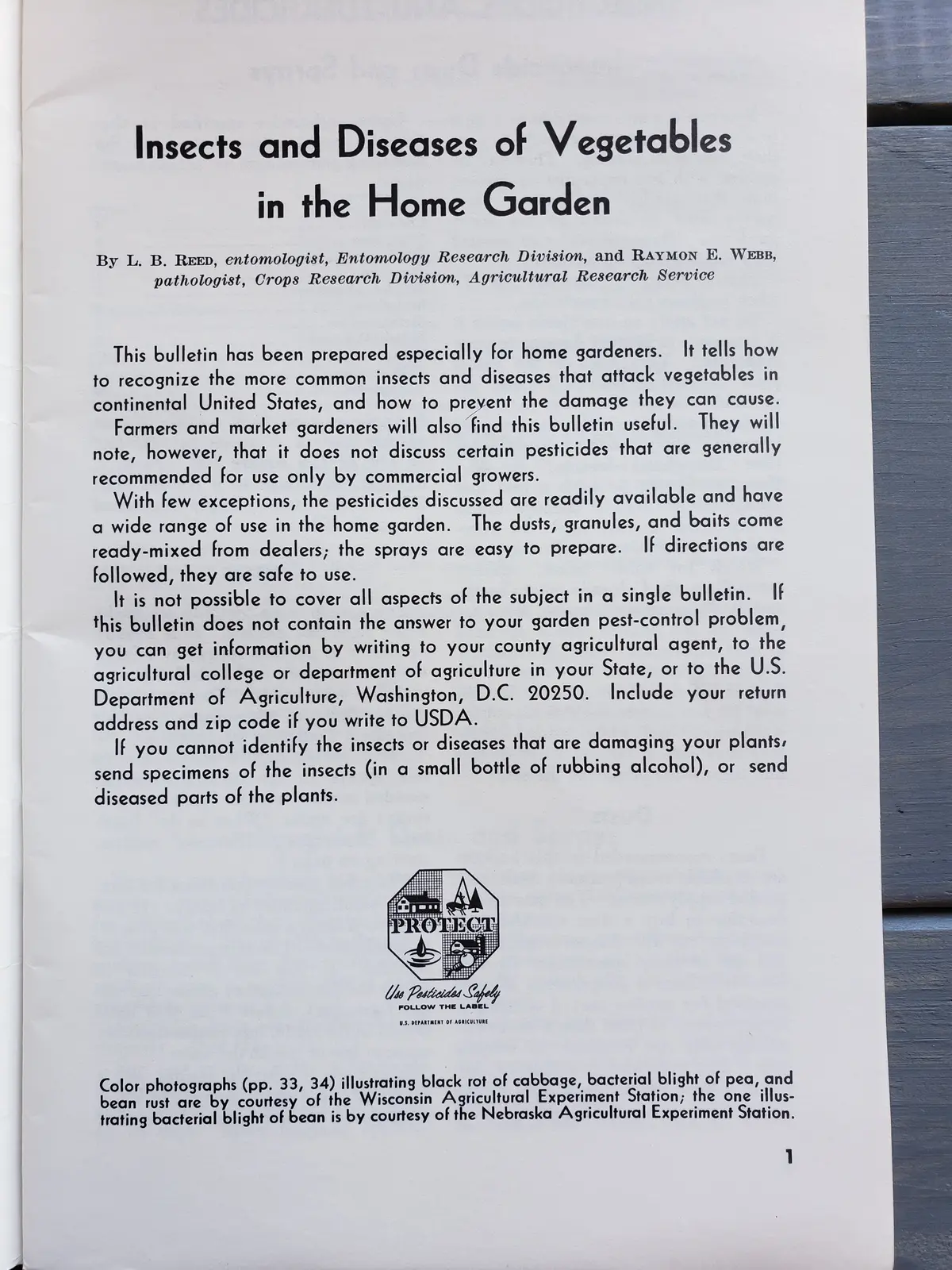 Insects And Diseases Of Vegetables In The Home Garden (1967) 2