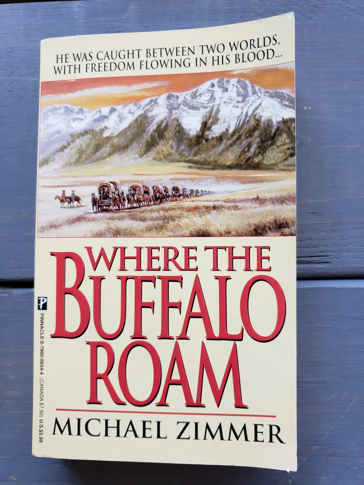 Where The Buffalo Roam By Michael Zimmer 1
