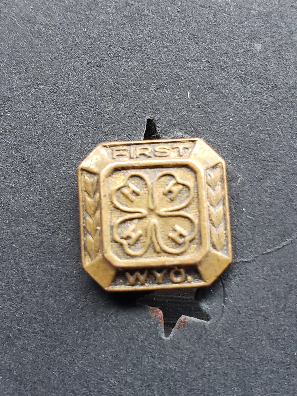 Wyoming 4 H Pin 1