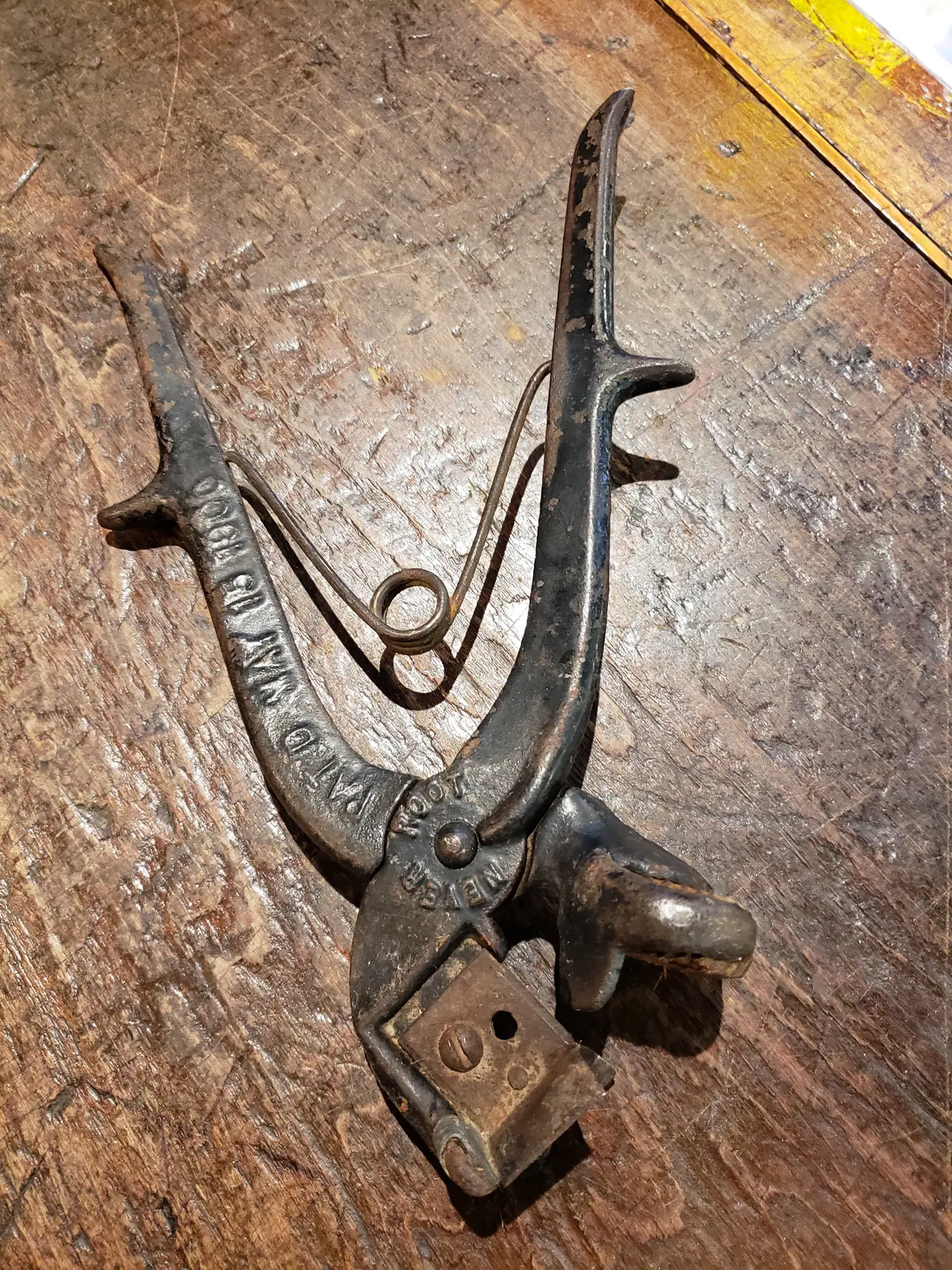 1900S ? Ear Notcher ? Tool 1