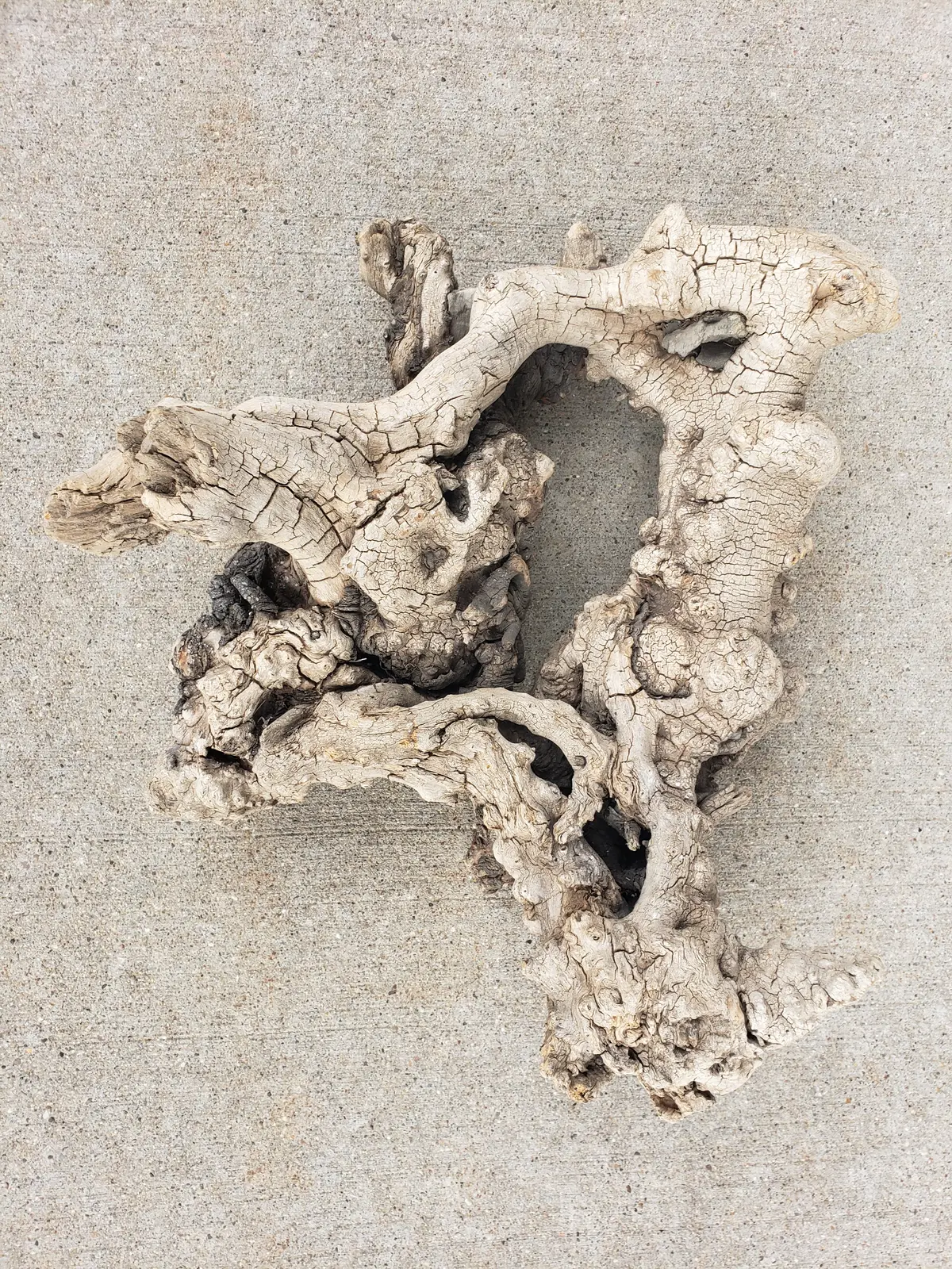 Driftwood Sculpture With Imbedded Rocks 1