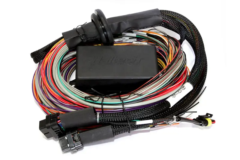Haltech Elite 2500/2500 T Premium Universal Wire-In Harness - 2.5M (8Ft) 1