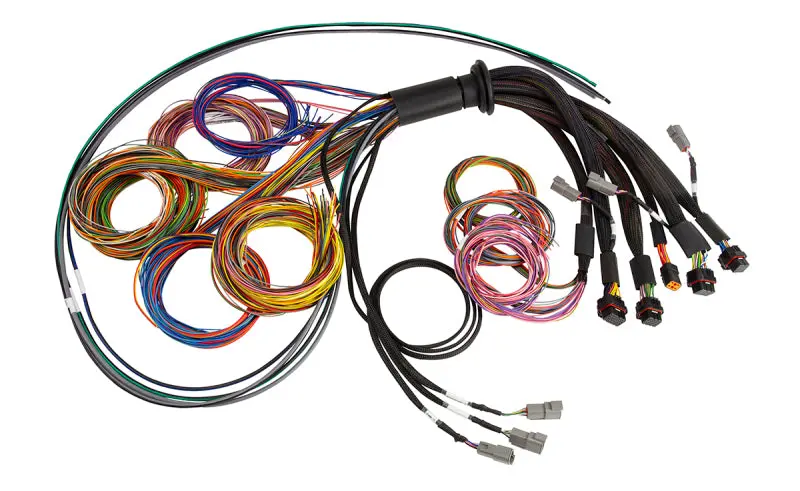 Haltech Nexus R5 Universal Wire-In Harness Length: 2.5M 1