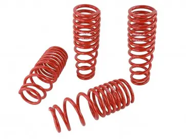 Lowering Springs - '96-'00 Civic 1