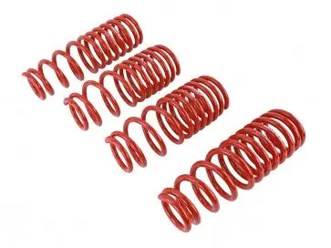 Lowering Springs - '96-'00 Civic 2