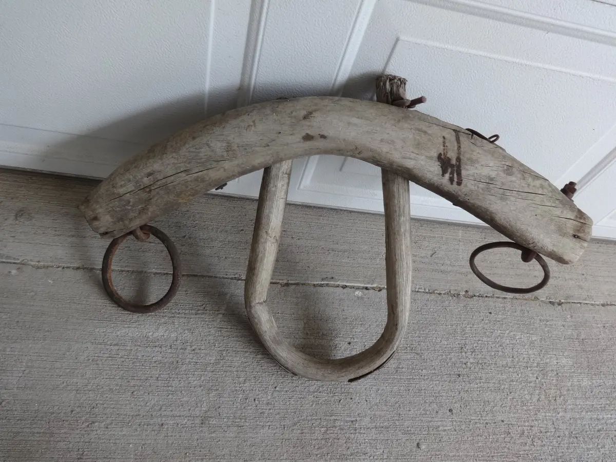 Vintage Pony Yoke 1