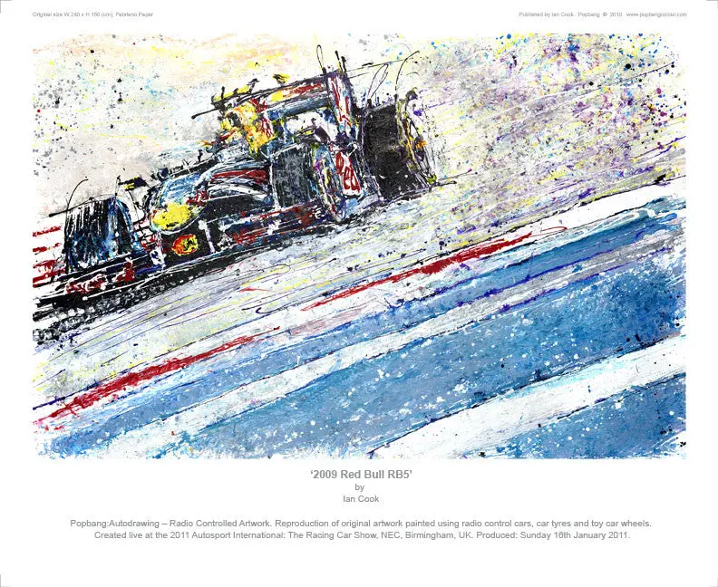 F1 Red Bull 2009 Rb5 1