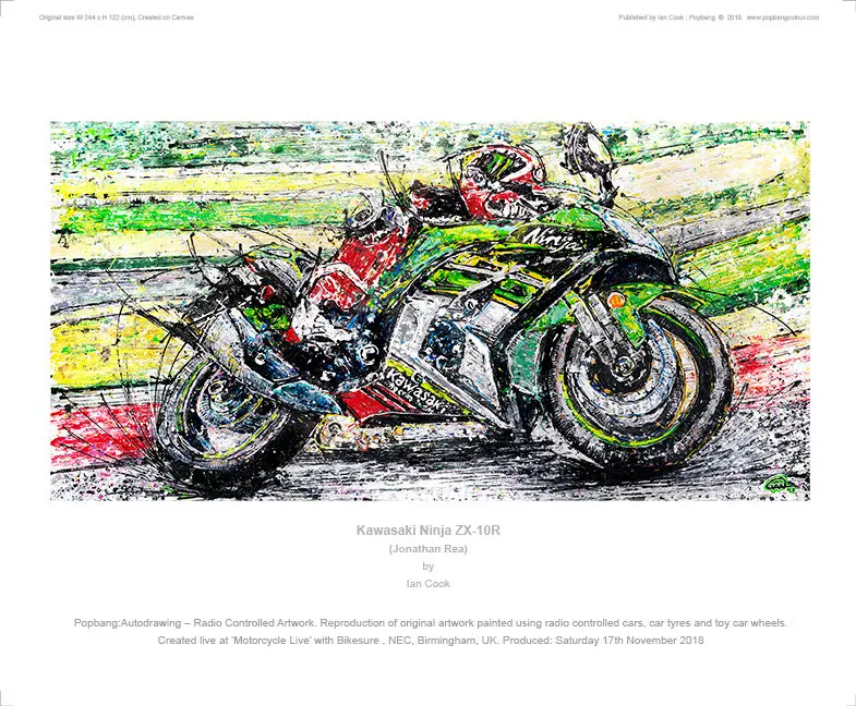 Kawasaki Ninja Zx-10R 1