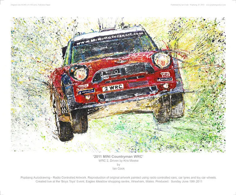 Mini Countryman Wrc (2011) 1