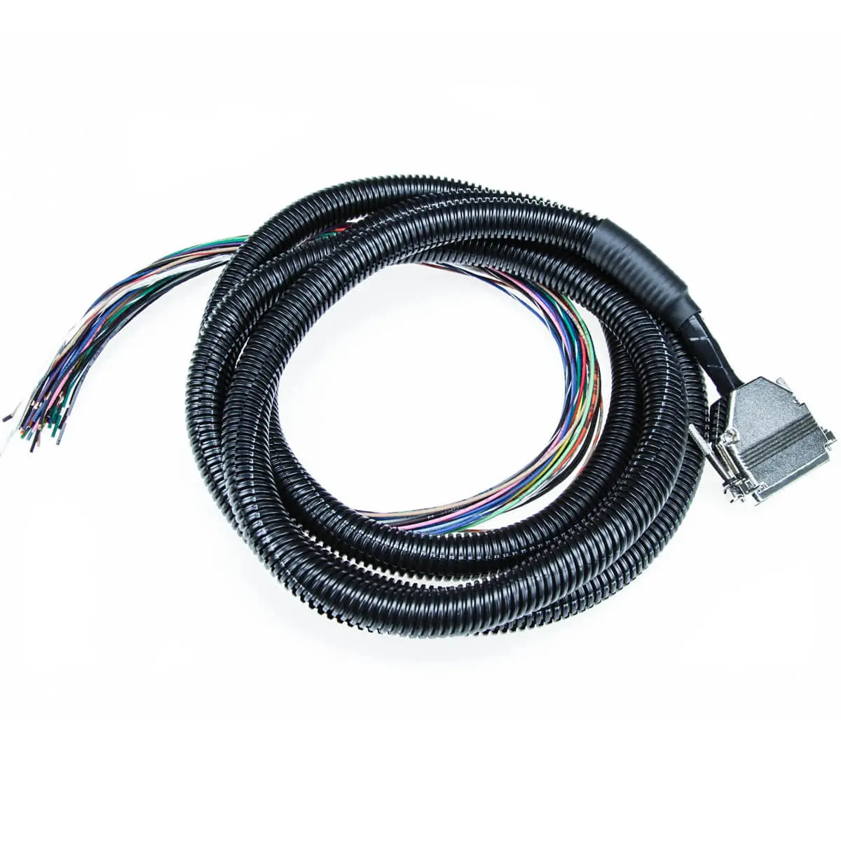 8′ Megasquirt Wiring Harness (Ms1/Ms2/Ms3 Ready) 1
