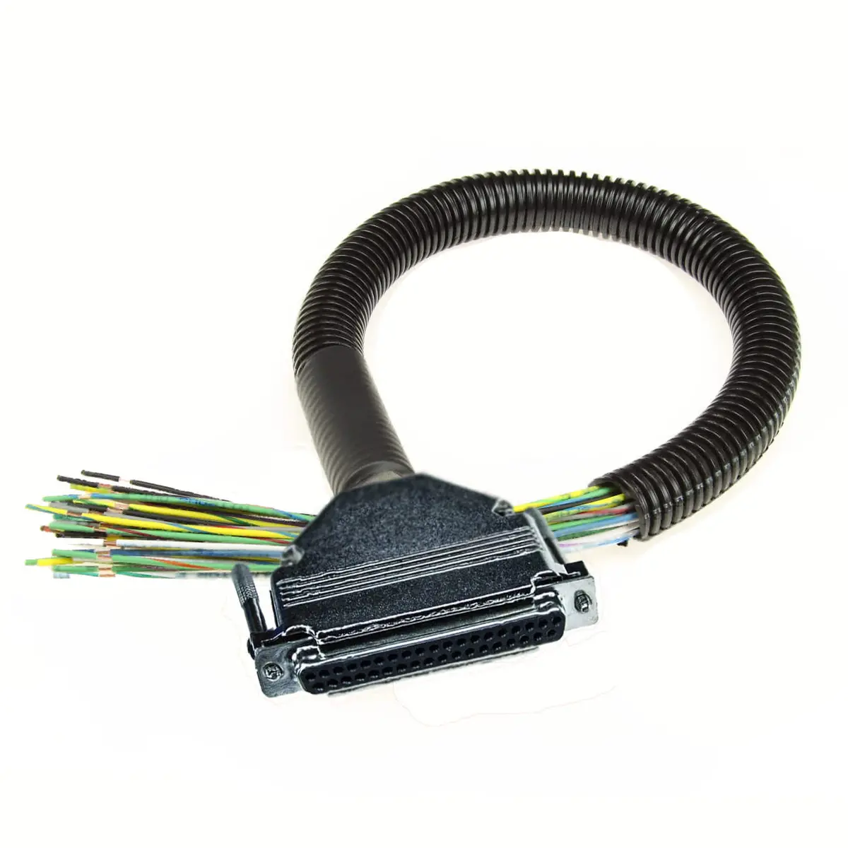 24″ Megasquirt Pigtail Harness (Ms1/Ms2/Ms3 Ready) 1