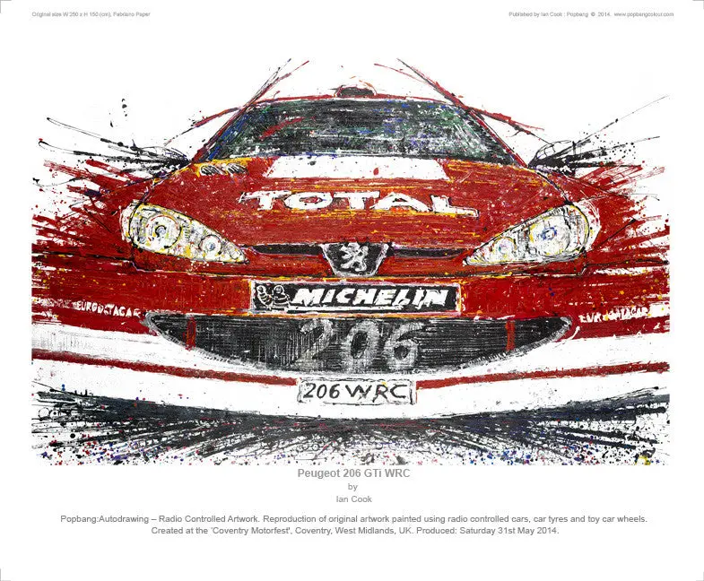 Peugeot 206 Gti Wrc 1