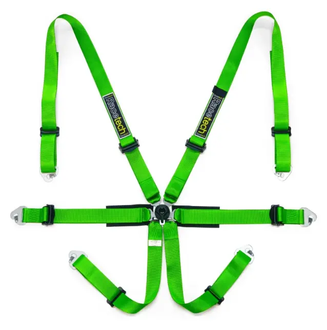 Racetech Pro International 6-Point Harness 1