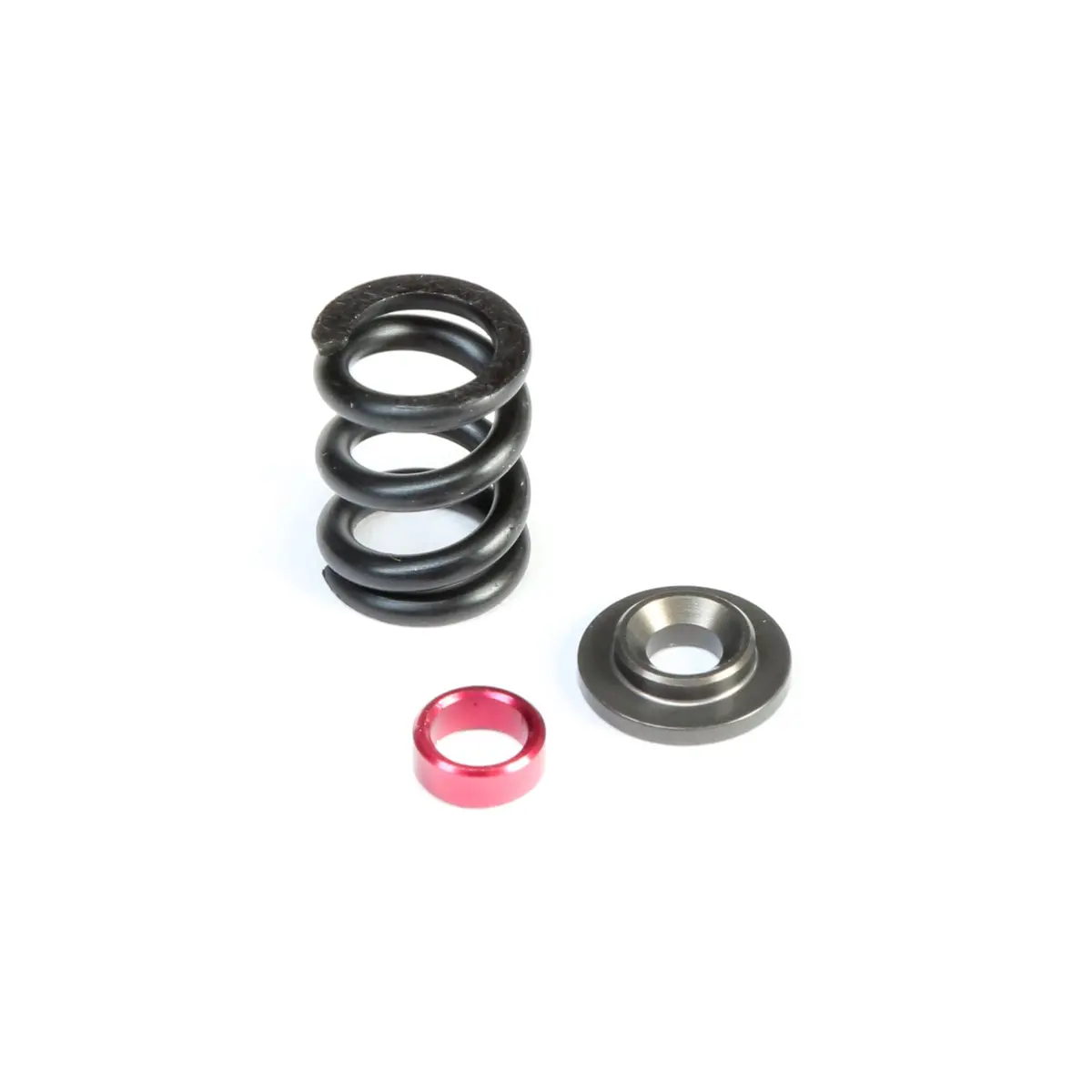 Tlr Hd Slipper Spring Set, Shds 1