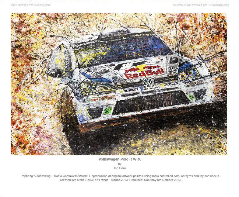 Volkswagen Polo R Wrc 1