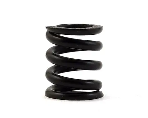 Team Associated Slipper Spring 1