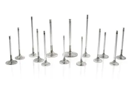 Ferrea Acura K20 6000 Series Exhaust Valve- Set Of 8 1