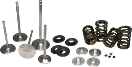 Ferrea Acura Tsx/Ilx K24z3/K24z7 Dual Spring Kit 1