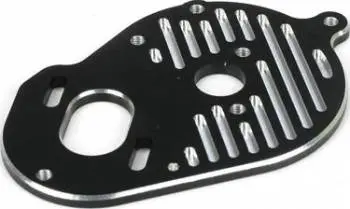 Tlr Motor Plate 22 1